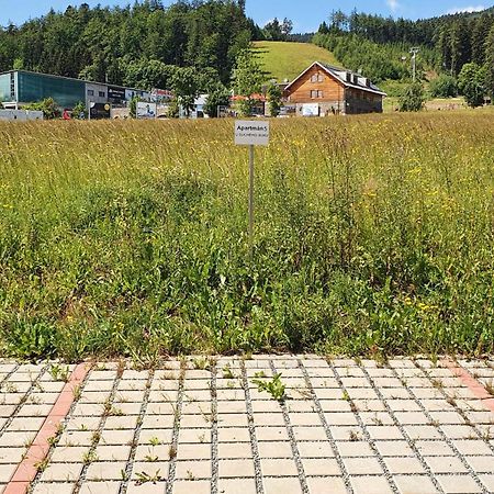 Apartmán U Suchého buku - Buková Hora Cervena Voda Exterior foto