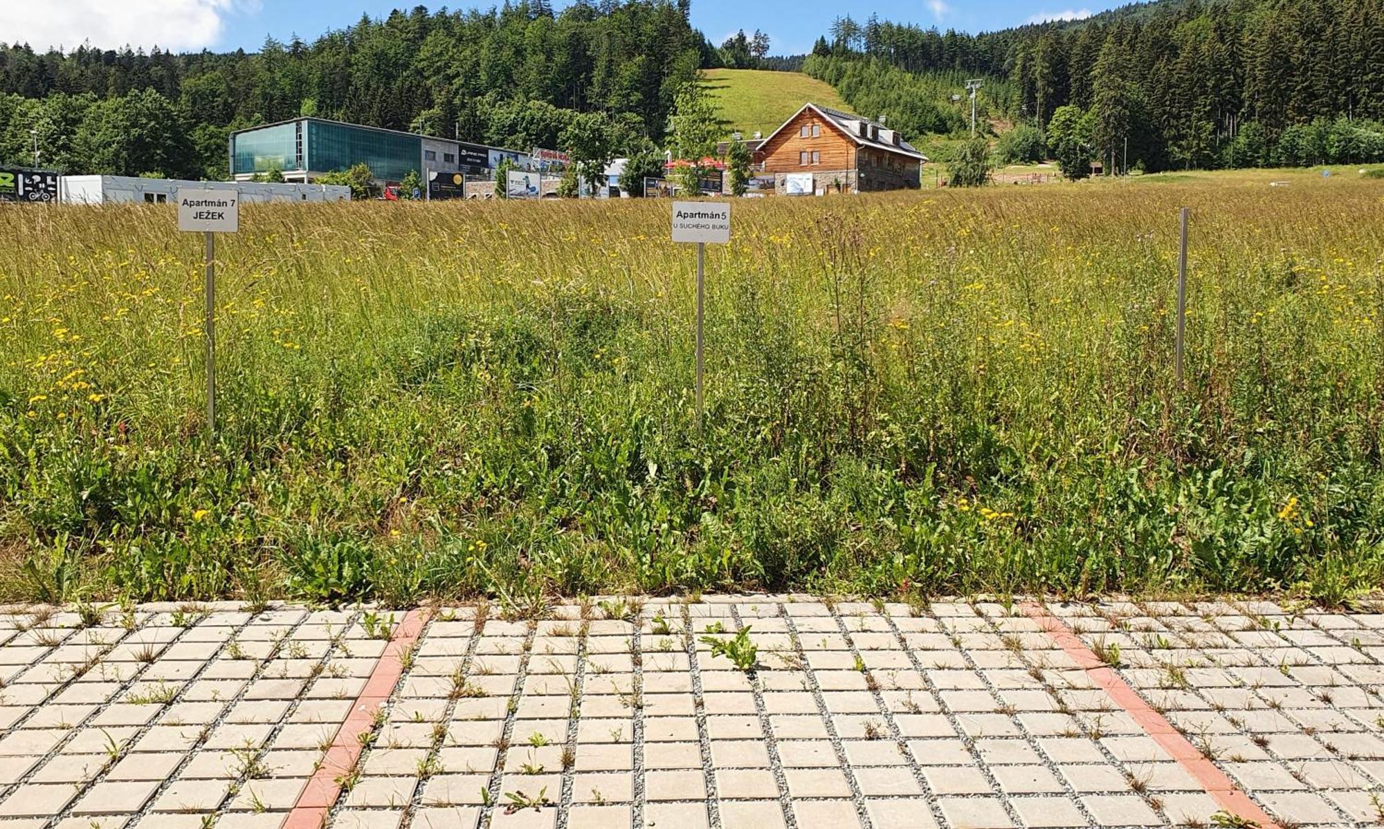 Apartmán U Suchého buku - Buková Hora Cervena Voda Exterior foto