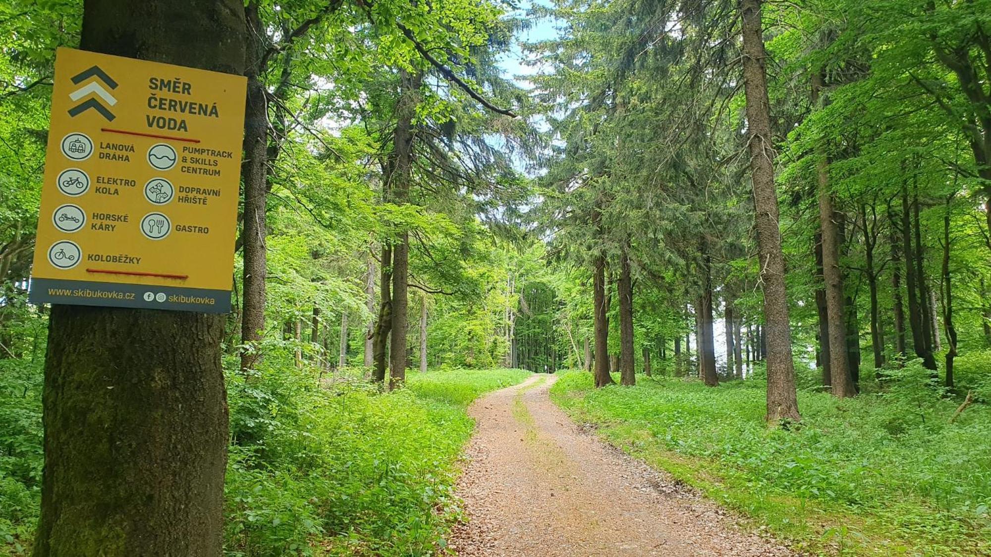 Apartmán U Suchého buku - Buková Hora Cervena Voda Exterior foto